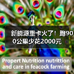 新能源重卡火了！跑900公里少花2000元（图1）