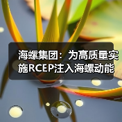 海螺集团:为高质量实施RCEP注入海螺动能(图3) 海螺集团:为高质量实施RCEP注入海螺动能(图3)
