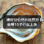 建材业价格环比回升 陶瓷等10子行业上涨（图4）