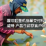 履带起重机批量交付科威特 产品性能获客户好评(图4) 履带起重机批量交付科威特 产品性能获客户好评(图4)