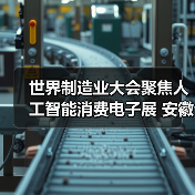 世界制造业大会聚焦人工智能消费电子展 安徽合肥举办（图3）