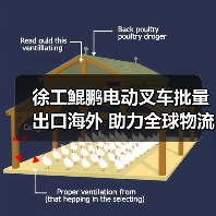 徐工鲲鹏电动叉车批量出口海外 助力全球物流升级(图3) 徐工鲲鹏电动叉车批量出口海外 助力全球物流升级(图3)