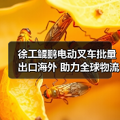 徐工鲲鹏电动叉车批量出口海外 助力全球物流升级(图1) 徐工鲲鹏电动叉车批量出口海外 助力全球物流升级(图1)