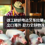 徐工鲲鹏电动叉车批量出口海外 助力全球物流升级(图2) 徐工鲲鹏电动叉车批量出口海外 助力全球物流升级(图2)