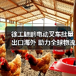 徐工鲲鹏电动叉车批量出口海外 助力全球物流升级(图4) 徐工鲲鹏电动叉车批量出口海外 助力全球物流升级(图4)