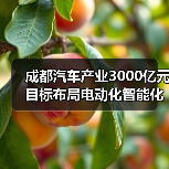 成都汽车产业3000亿元目标布局电动化智能化(图2) 成都汽车产业3000亿元目标布局电动化智能化(图2)