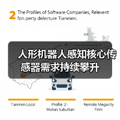 人形机器人感知核心传感器需求持续攀升(图4) 人形机器人感知核心传感器需求持续攀升(图4)