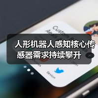 人形机器人感知核心传感器需求持续攀升(图2) 人形机器人感知核心传感器需求持续攀升(图2)