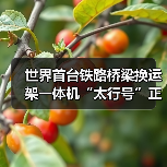 世界首台铁路桥梁换运架一体机“太行号”正式投用!(图1) 世界首台铁路桥梁换运架一体机“太行号”正式投用!(图1)