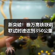 新突破!雅万高铁联调联试时速达到350公里(图4) 新突破!雅万高铁联调联试时速达到350公里(图4)