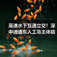 高速水下互通立交！深中通道东人工岛主体结构施工完成！（图4）