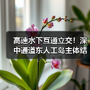 高速水下互通立交！深中通道东人工岛主体结构施工完成！（图2）