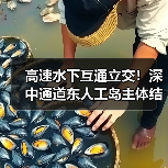 高速水下互通立交！深中通道东人工岛主体结构施工完成！（图3）