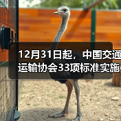 12月31日起,中国交通运输协会33项标准实施(图4) 12月31日起,中国交通运输协会33项标准实施(图4)