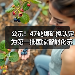 公示！47处煤矿拟认定为第一批国家智能化示范煤矿（图4）
