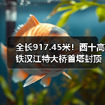 全长917.45米!西十高铁汉江特大桥首塔封顶(图3) 全长917.45米!西十高铁汉江特大桥首塔封顶(图3)