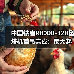 中国铁建R8000-320型塔机首吊完成：最大起重量320吨（图4）