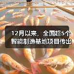 12月以来，全国超5个智能制造基地项目传出好消息（图1）