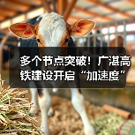 多个节点突破！广湛高铁建设开启“加速度”（图1）