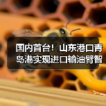 国内首台！山东港口青岛港实现进口输油臂智能对接（图3）