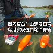 国内首台！山东港口青岛港实现进口输油臂智能对接（图1）