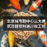 北京城市副中心三大建筑项目顺利通过竣工验收（图4）