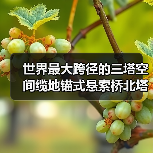世界最大跨径的三塔空间缆地锚式悬索桥北塔成功封顶（图2）