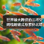 世界最大跨径的三塔空间缆地锚式悬索桥北塔成功封顶（图1）