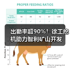出勤率超90%！徐工挖机助力智利矿山开发（图1）