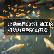 出勤率超90%！徐工挖机助力智利矿山开发（图2）