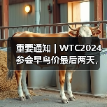 重要通知 | WTC2024参会早鸟价最后两天，最高优惠千元！（图4）
