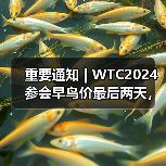重要通知 | WTC2024参会早鸟价最后两天，最高优惠千元！（图1）