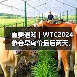 重要通知 | WTC2024参会早鸟价最后两天，最高优惠千元！（图3）