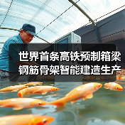 世界首条高铁预制箱梁钢筋骨架智能建造生产线正式投产（图2）