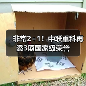 非常2+1！中联重科再添3项国家级荣誉（图1）