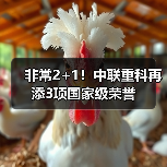 非常2+1！中联重科再添3项国家级荣誉（图2）