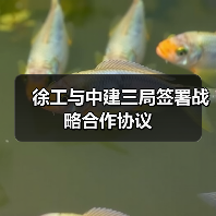徐工与中建三局签署战略合作协议（图2）
