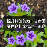 提升科创能力!甘肃国资国企扎实推进一流企业创建工作(图4) 提升科创能力!甘肃国资国企扎实推进一流企业创建工作(图4)