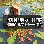 提升科创能力!甘肃国资国企扎实推进一流企业创建工作(图2) 提升科创能力!甘肃国资国企扎实推进一流企业创建工作(图2)