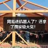 网易造机器人了?还拿了国家级大奖!(图1) 网易造机器人了?还拿了国家级大奖!(图1)