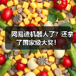 网易造机器人了?还拿了国家级大奖!(图4) 网易造机器人了?还拿了国家级大奖!(图4)