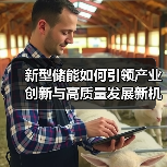 新型储能如何引领产业创新与高质量发展新机遇?(图2) 新型储能如何引领产业创新与高质量发展新机遇?(图2)