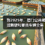 到2025年,厦门公共领域新增和更换车辆全采用纯电动汽车(图1) 到2025年,厦门公共领域新增和更换车辆全采用纯电动汽车(图1)