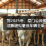 到2025年,厦门公共领域新增和更换车辆全采用纯电动汽车(图3) 到2025年,厦门公共领域新增和更换车辆全采用纯电动汽车(图3)