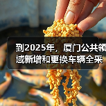到2025年,厦门公共领域新增和更换车辆全采用纯电动汽车(图4) 到2025年,厦门公共领域新增和更换车辆全采用纯电动汽车(图4)