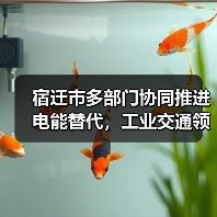 宿迁市多部门协同推进电能替代，工业交通领域全面升级（图1）