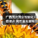 广西国资国企智能化升级提速 高质量发展释放新动能(图3) 广西国资国企智能化升级提速 高质量发展释放新动能(图3)