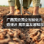 广西国资国企智能化升级提速 高质量发展释放新动能(图1) 广西国资国企智能化升级提速 高质量发展释放新动能(图1)