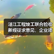 湛江工程竣工联合验收新规征求意见，企业须知关键要点（图3）