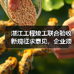 湛江工程竣工联合验收新规征求意见，企业须知关键要点（图2）